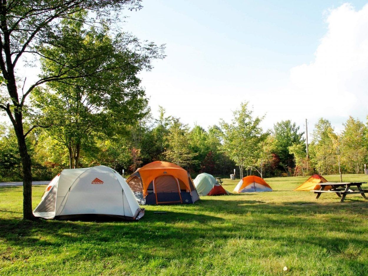 Picture of Camping at Aunt Cheryl's!