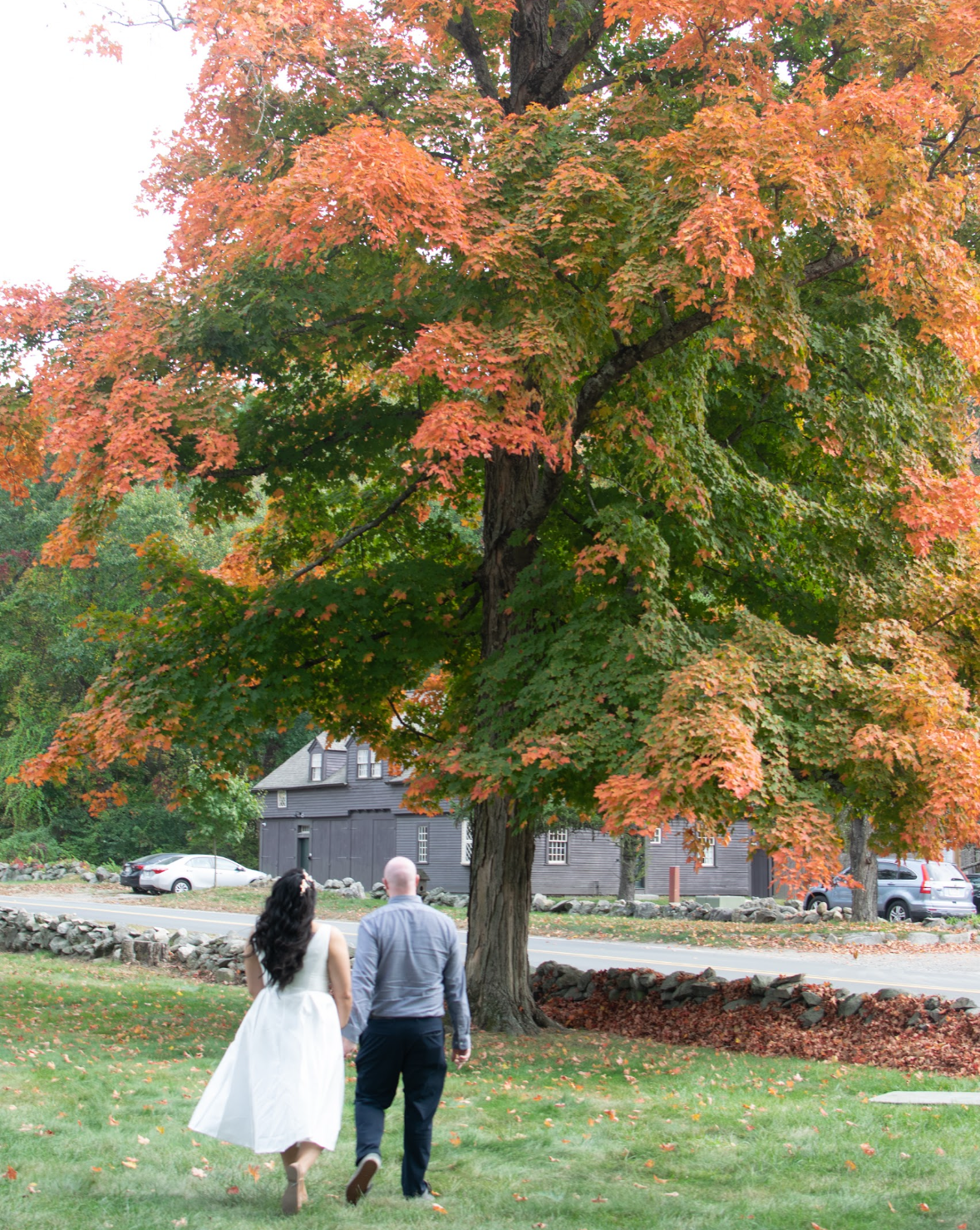 Patricia & Daniel Home Page Banner
