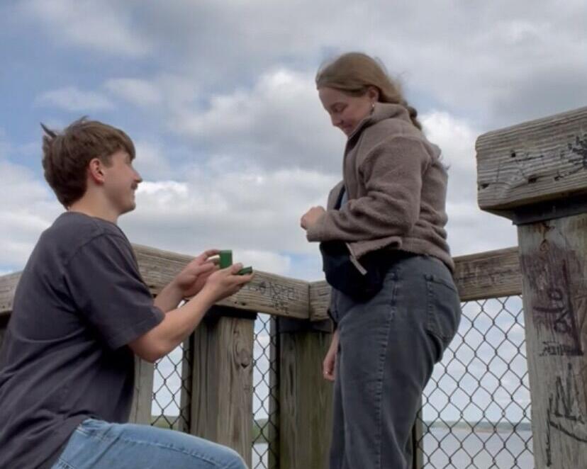Picture of The Proposal