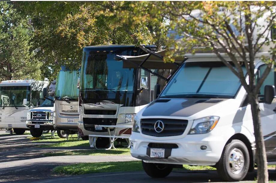 Picture of Carson Valley RV Resort