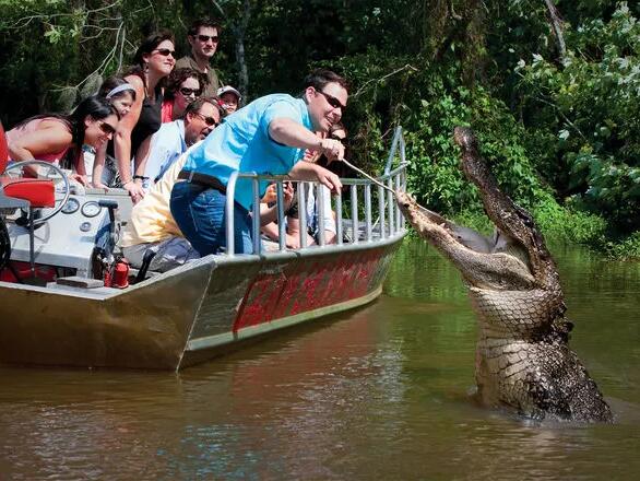 Picture of Cajun Encounters Swamp Tours 