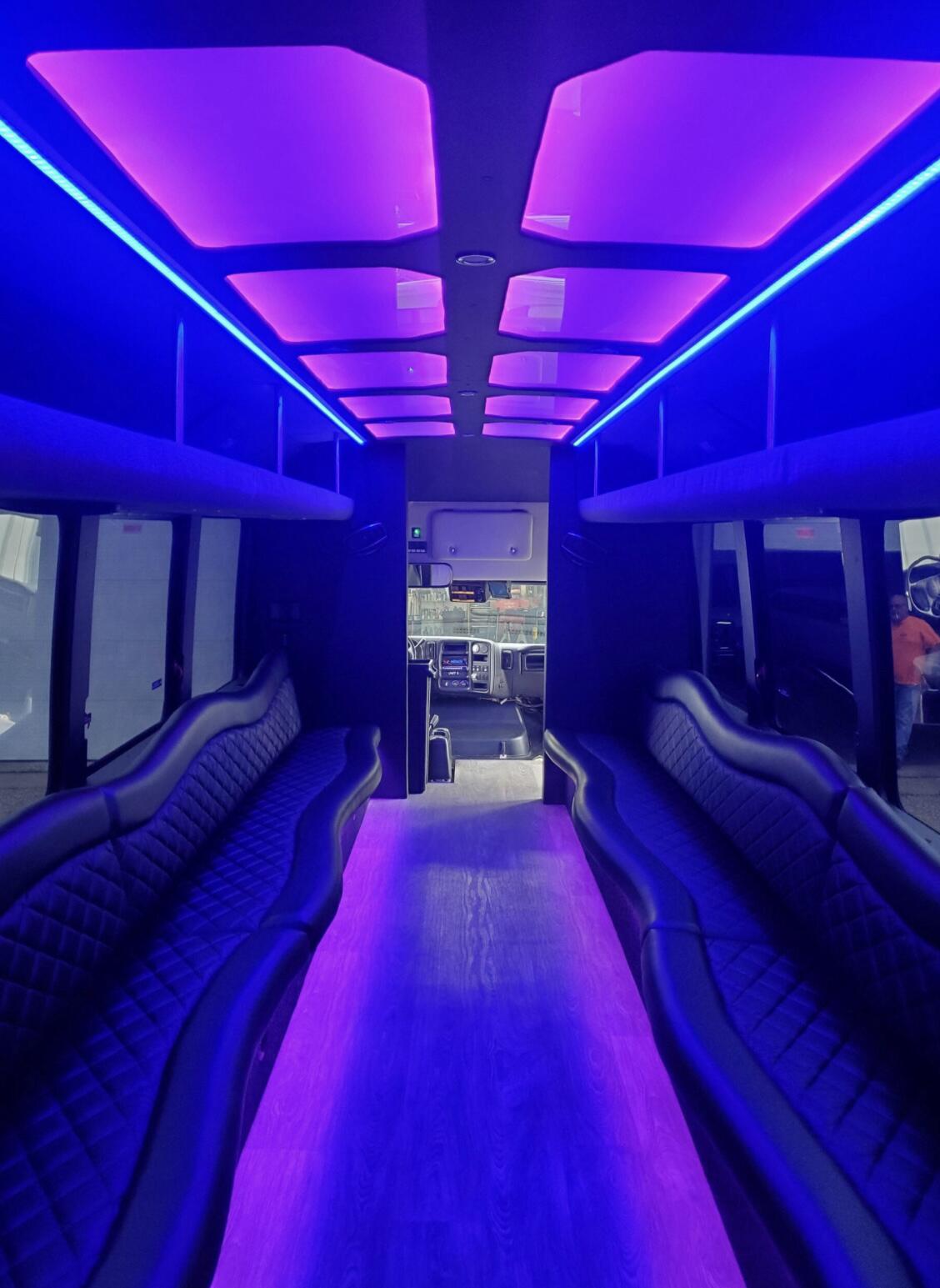 Picture of Xecutive Limousine