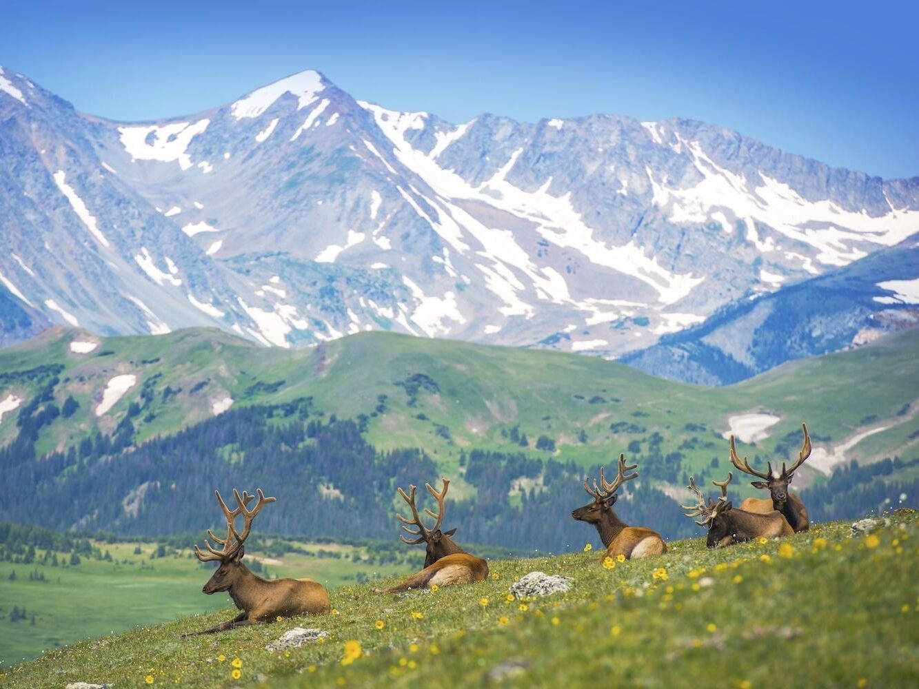 Picture of Rocky Mountain National Park