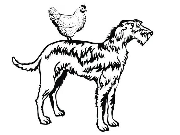 Picture of The Hen & Hound Farm