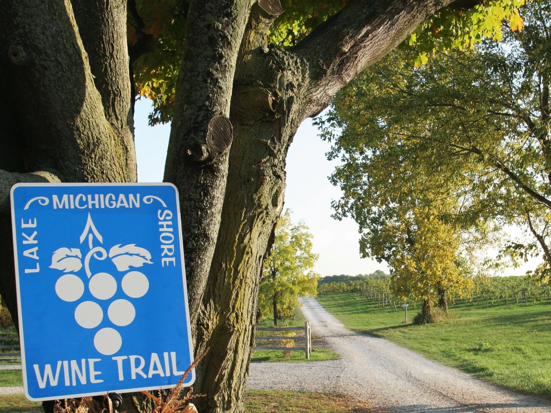 Picture of Fenn Valley Vineyards