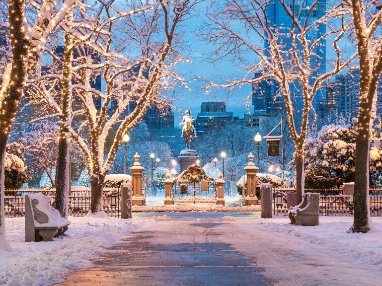 Picture of Public Garden