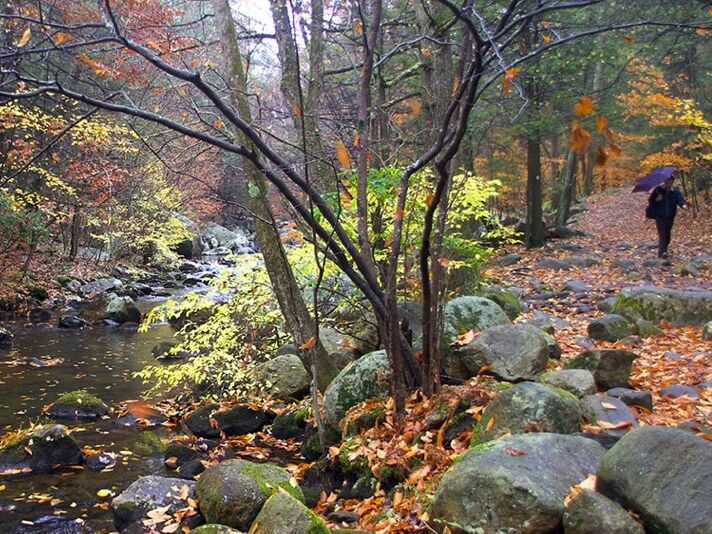 Picture of Harriman State Park