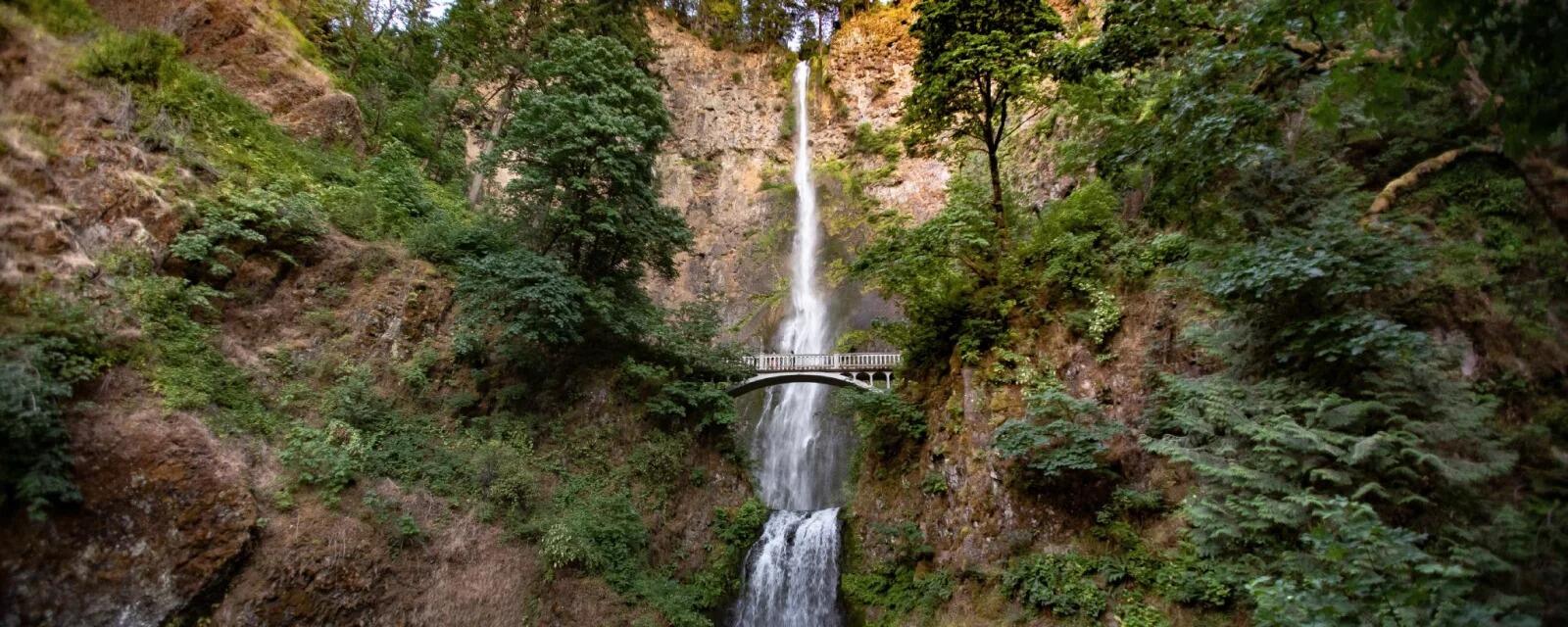 Picture of Multnomah Falls