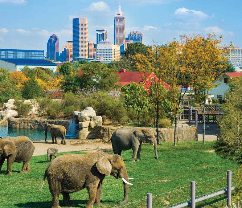 Picture of Indianapolis Zoo