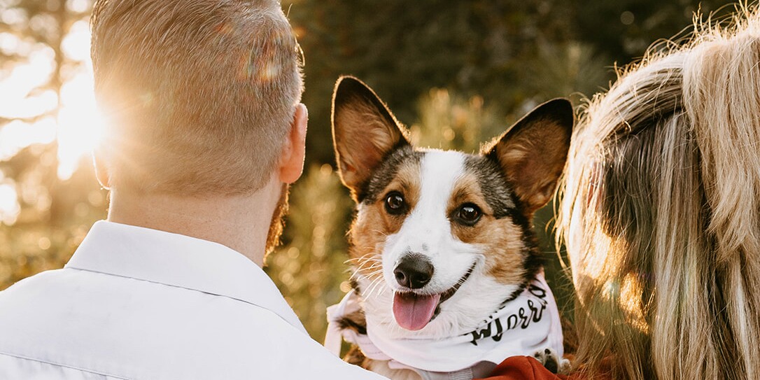 Holly & Christopher Home Page Banner