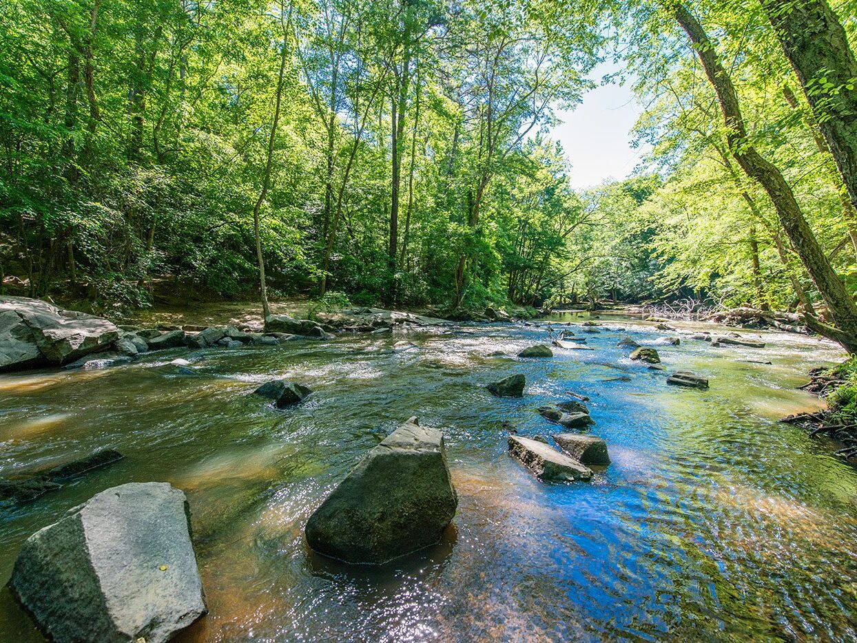Picture of William B. Umstead State Park