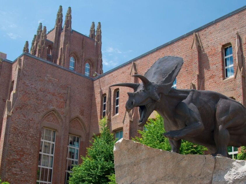 Picture of Yale Peabody Museum