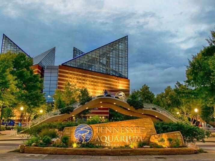 Picture of Tennessee Aquarium