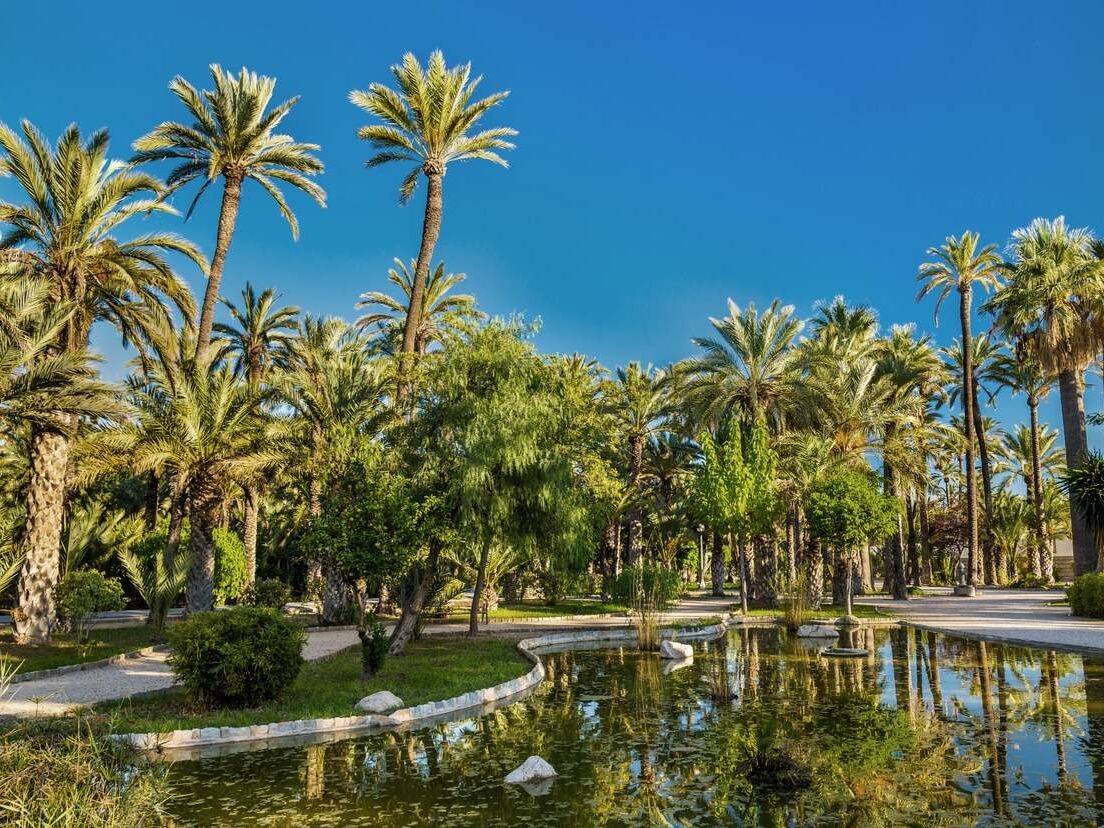 Picture of El Palmeral