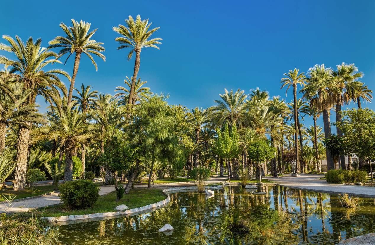 Picture of El Palmeral