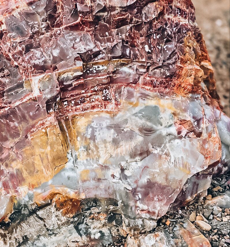 Picture of Petrified Forest National Park