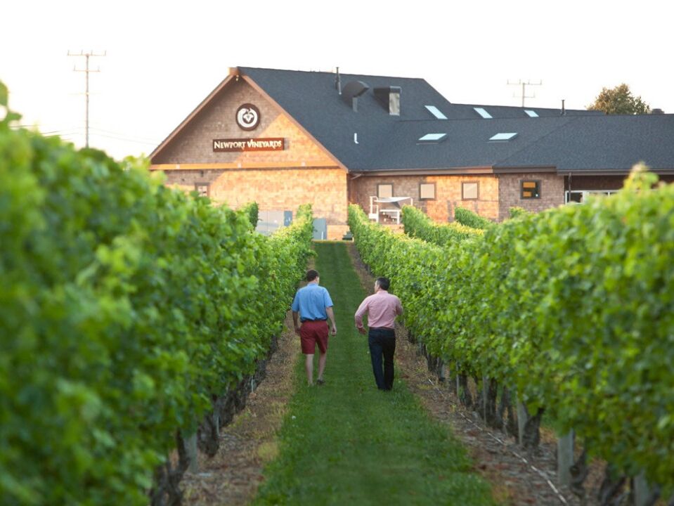 Picture of Newport Vineyards & Restaurant