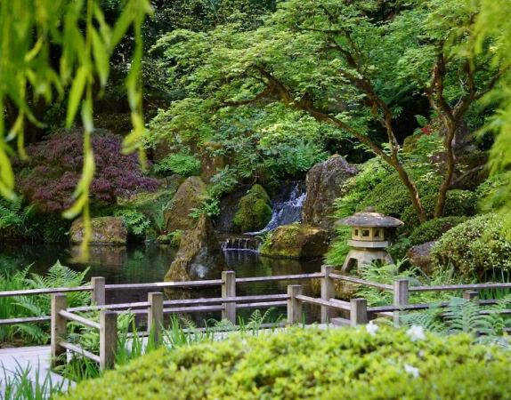 Picture of Portland Japanese Garden