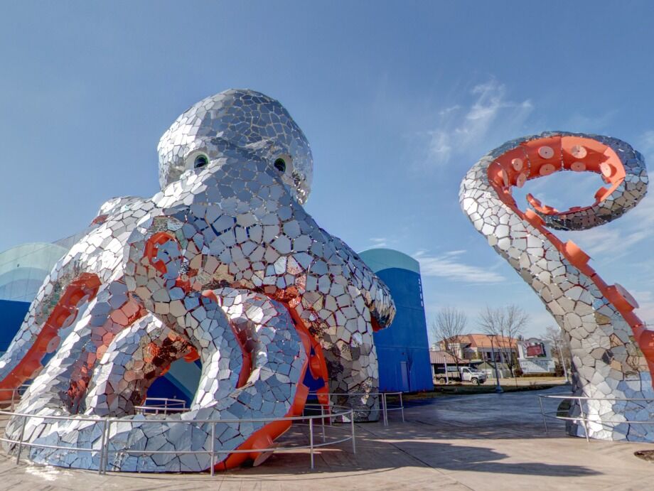 Picture of Aquarium at the Boardwalk
