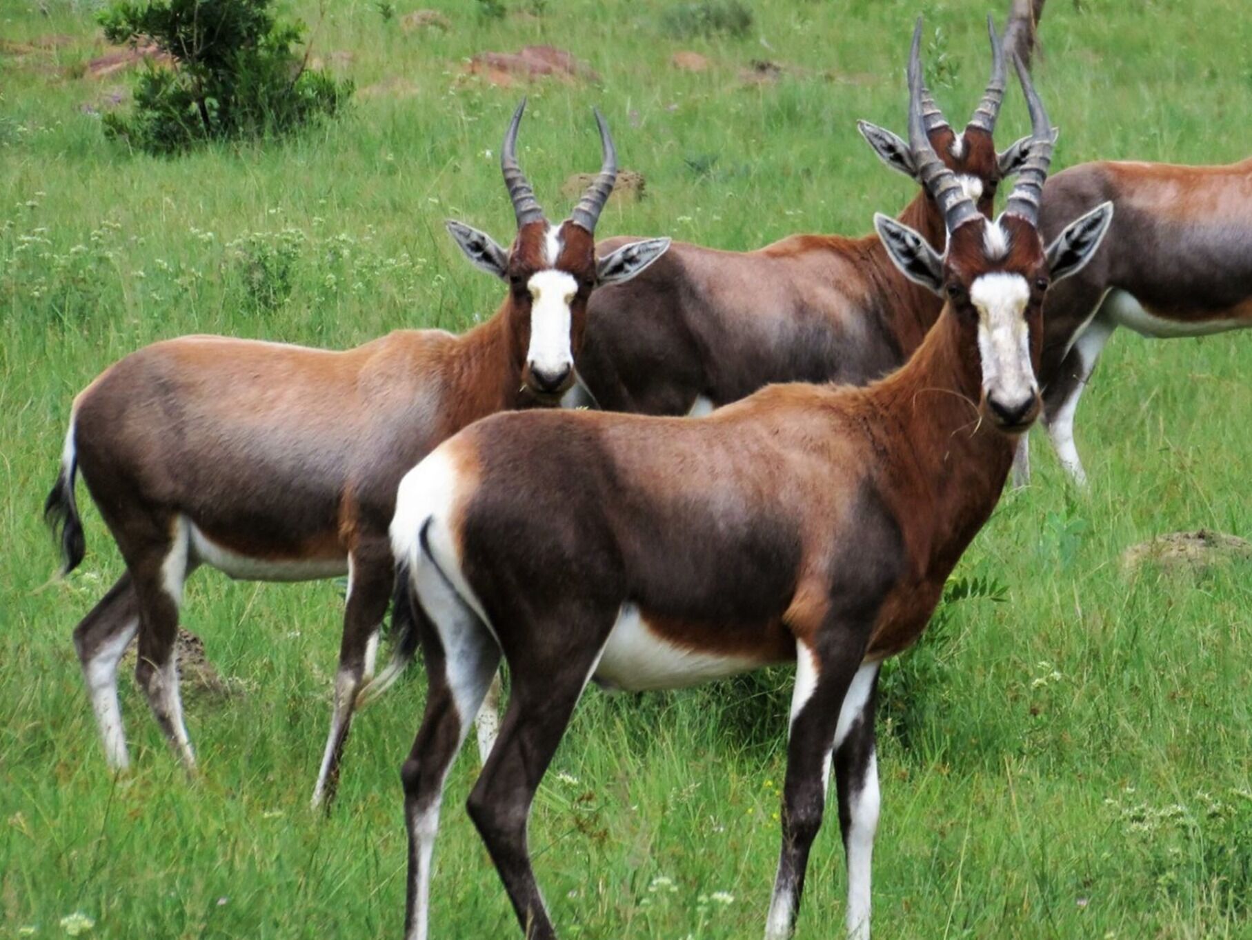 Picture of Kunkura Nature Reserve & Conference Centre