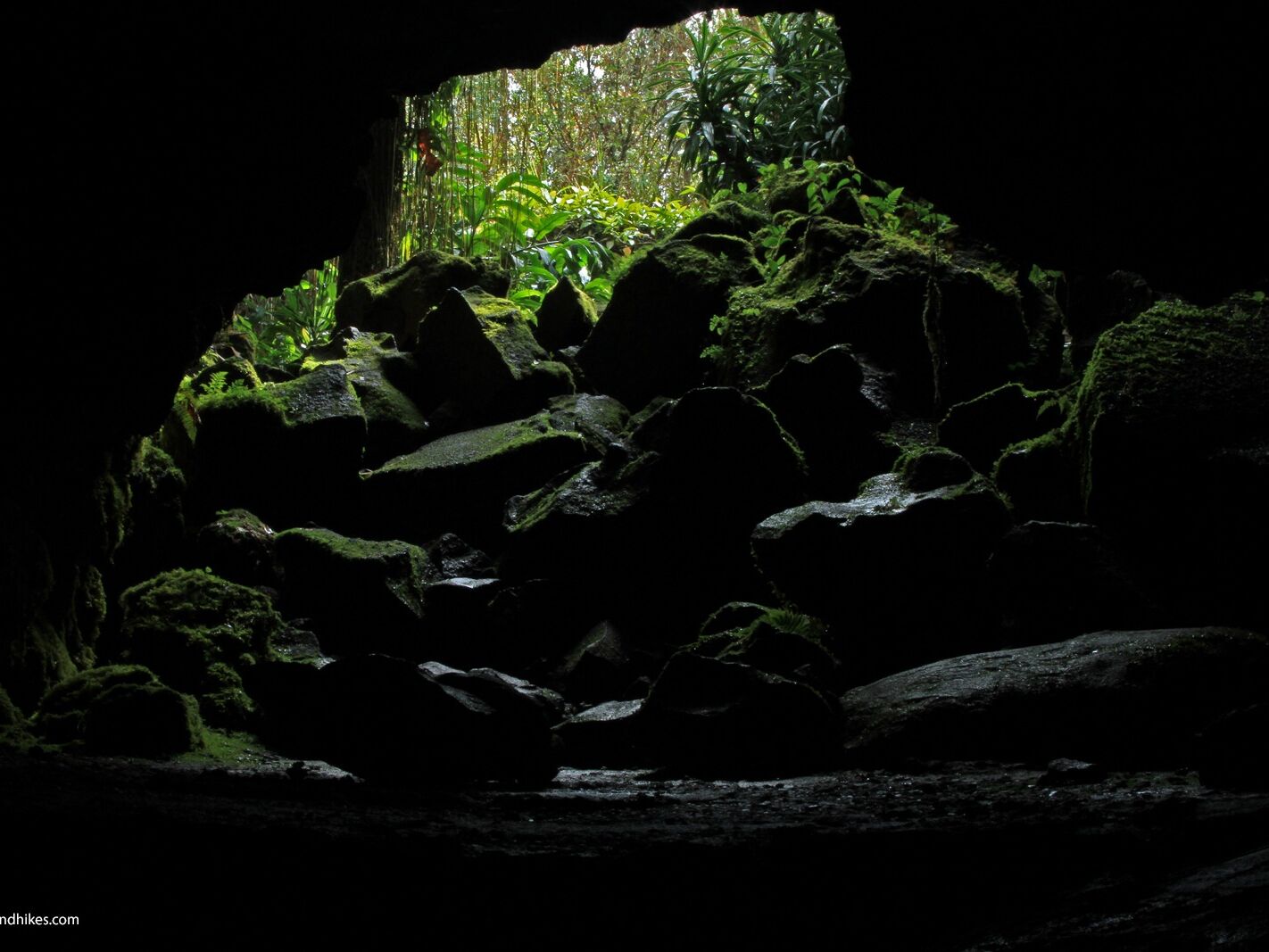 Picture of Kaumana Caves