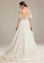 AW Bridal AW Liddy Wedding Dress A-Line Wedding Dress - thumbnail - 4