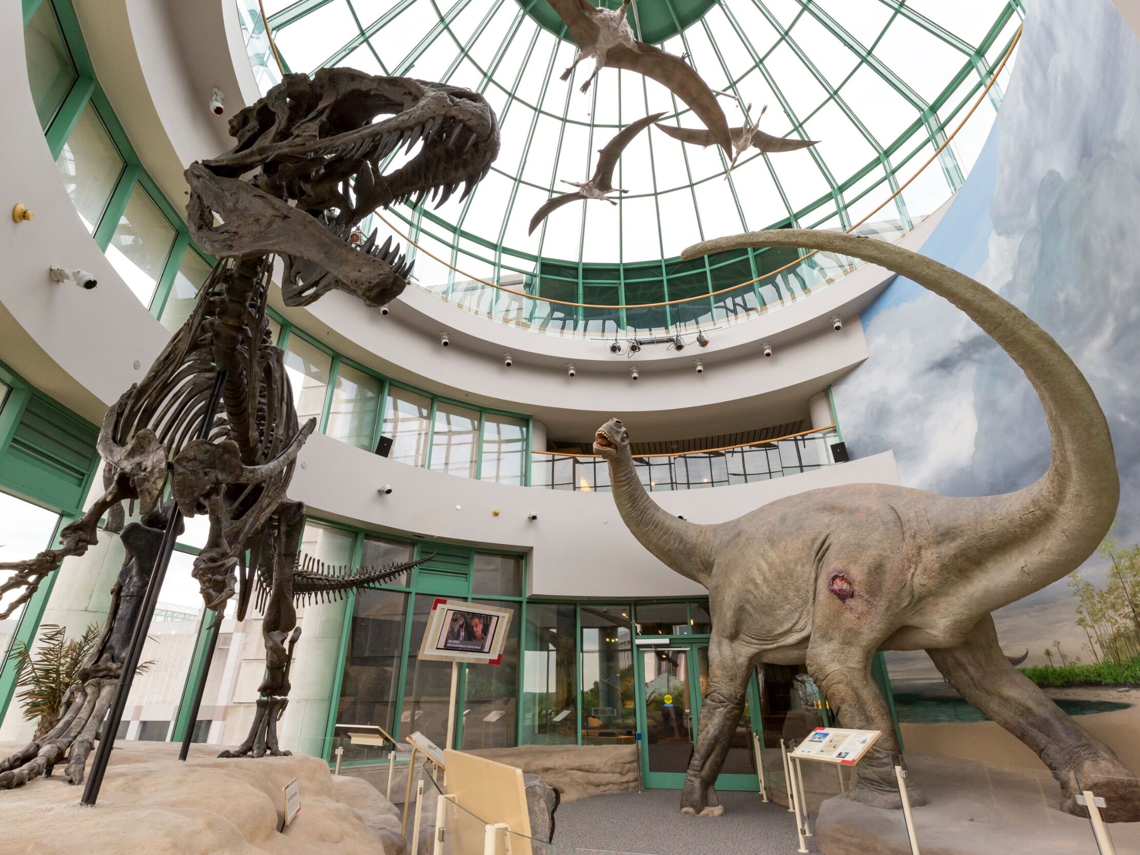 Picture of North Carolina Museum of Natural Sciences