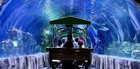 Picture of Downtown Aquarium