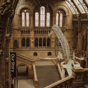 Gallery Photo 2