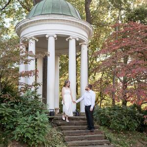 Gallery Photo 15