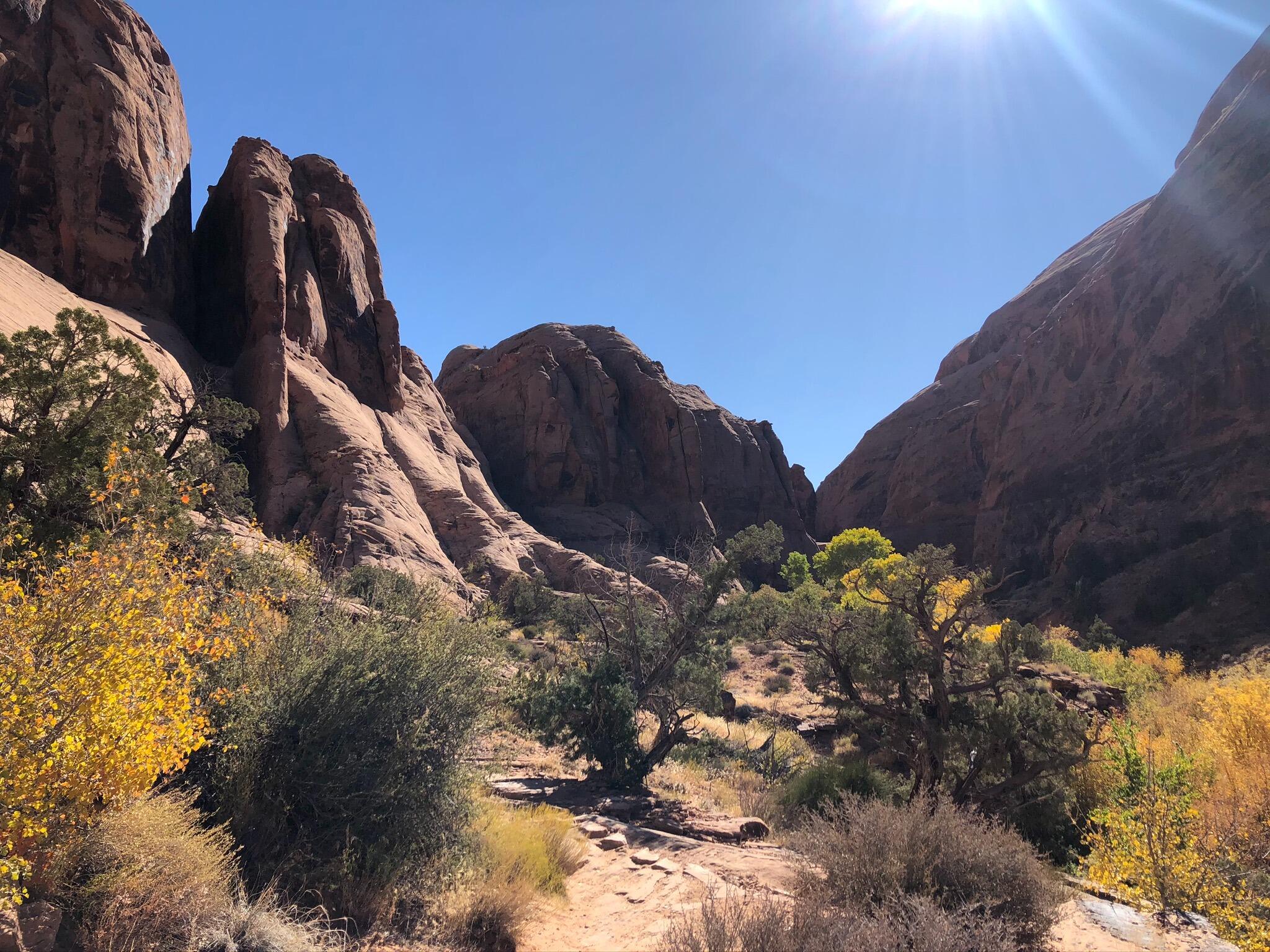 Picture of Grandstaff Trail Hike
