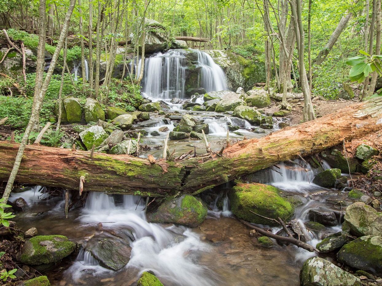 Picture of Apple Orchard Falls Trailhead