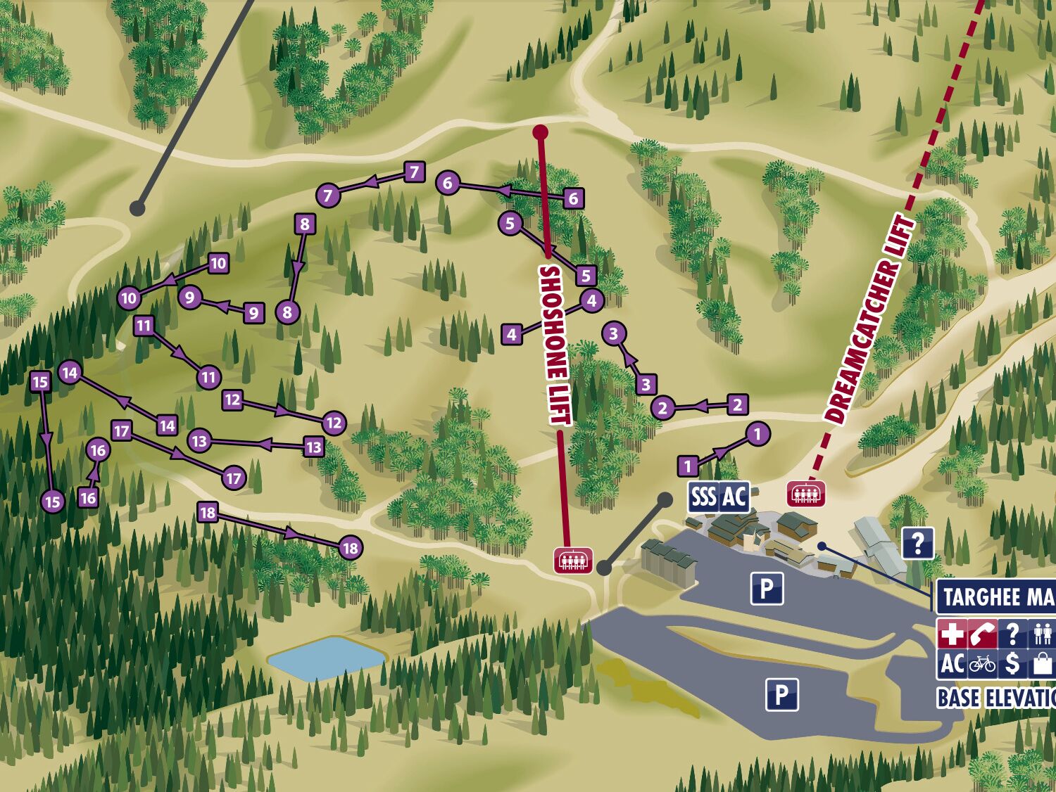 Picture of Disc Golf