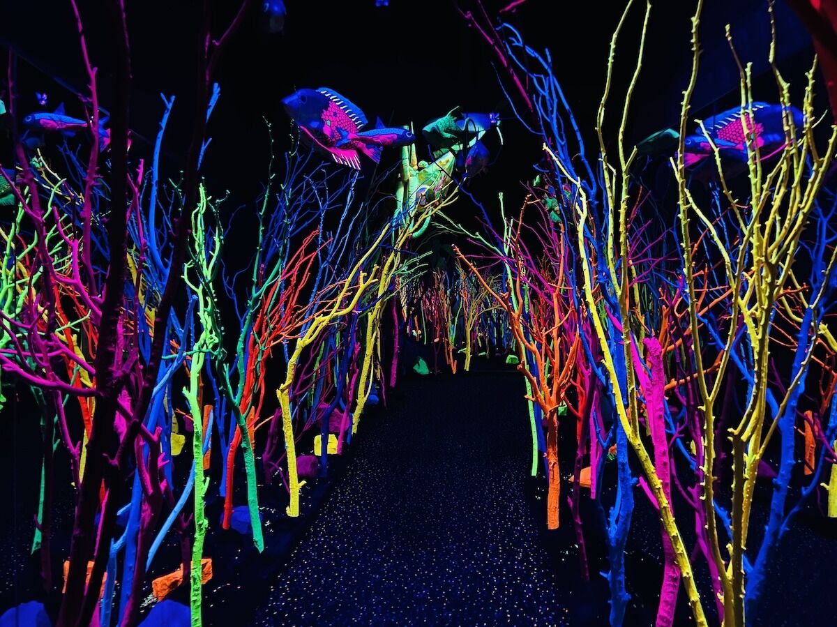 Picture of Meow Wolf Santa Fe's House of Eternal Return