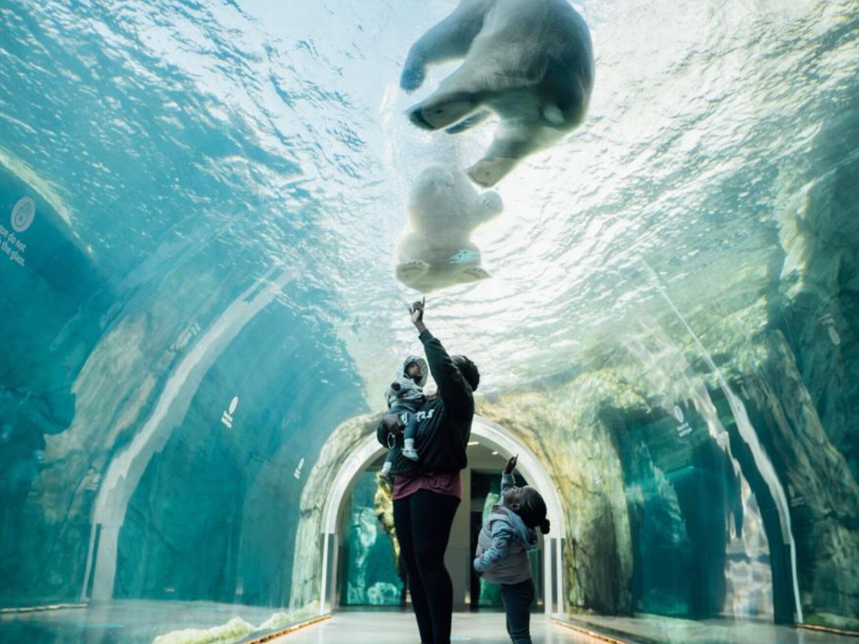 Picture of Assiniboine Park Zoo