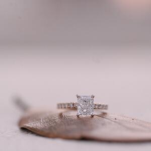 Gallery Photo 27