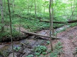 Picture of Lost Nations Trailhead
