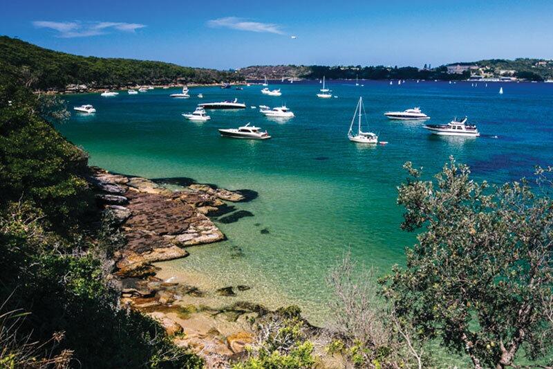 Picture of Spit to Manly Walk