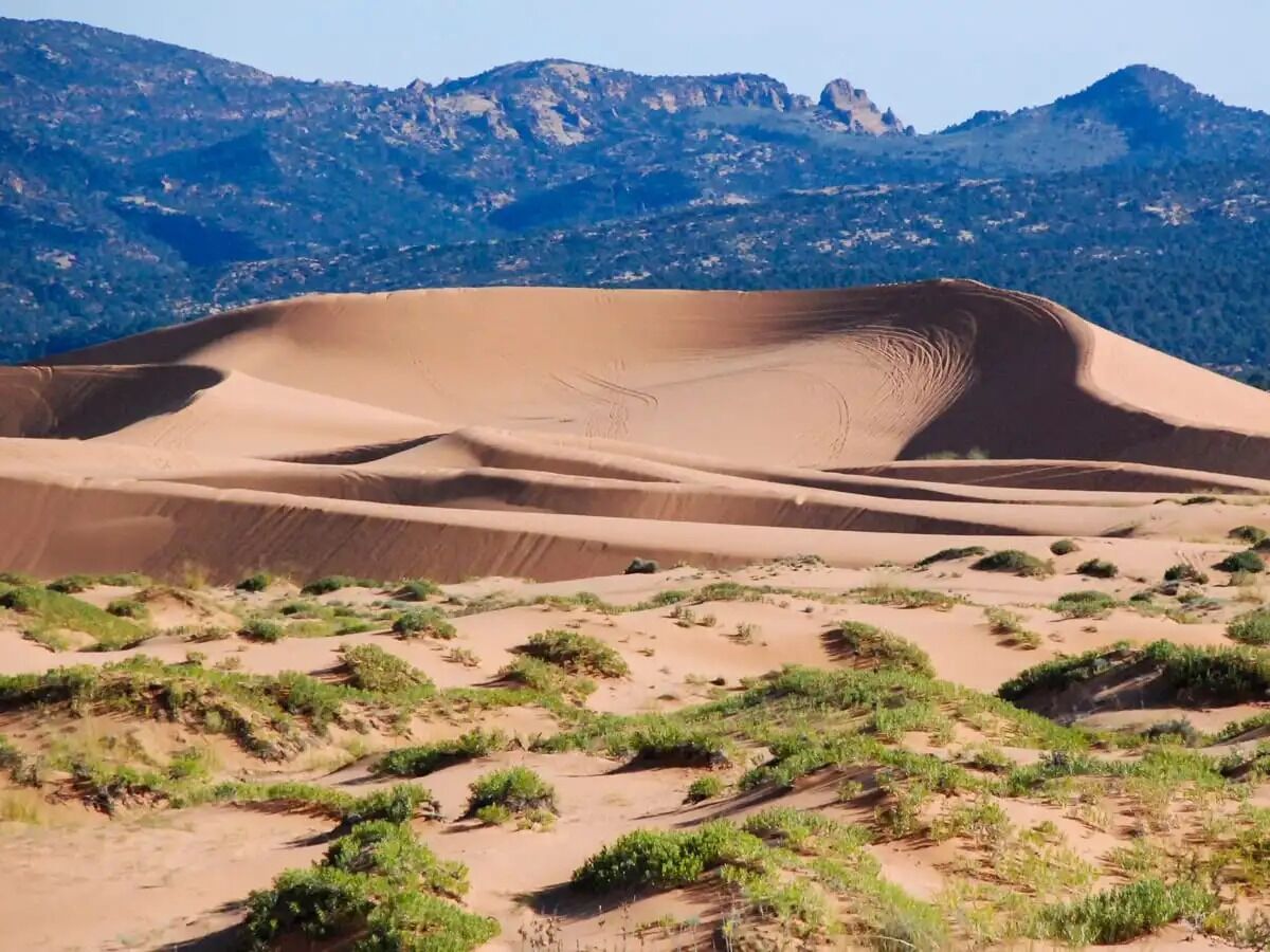 Picture of Coral Pink Sand Dunes State Park