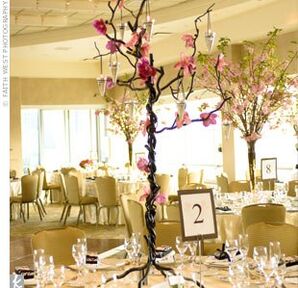 The Centerpieces