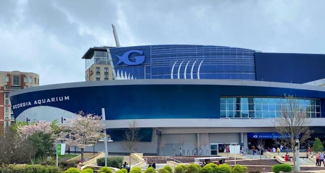 Picture of Georgia Aquarium