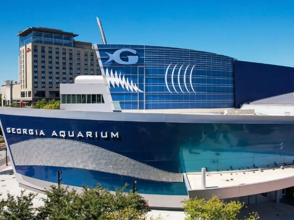 Picture of Georgia Aquarium