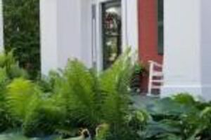Picture of Grape Arbor Bed&Breakfast