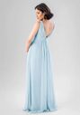 Kennedy Blue Paisley V-Neck and Plunge Bridesmaid Dress - thumbnail - 2