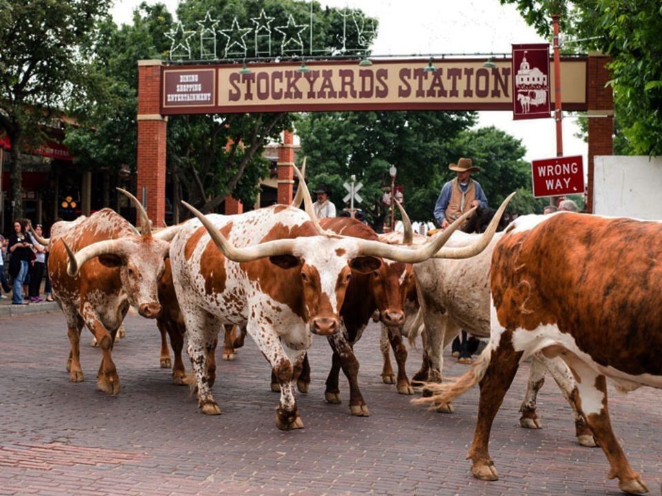 Picture of Fort Worth Stockyards Station
