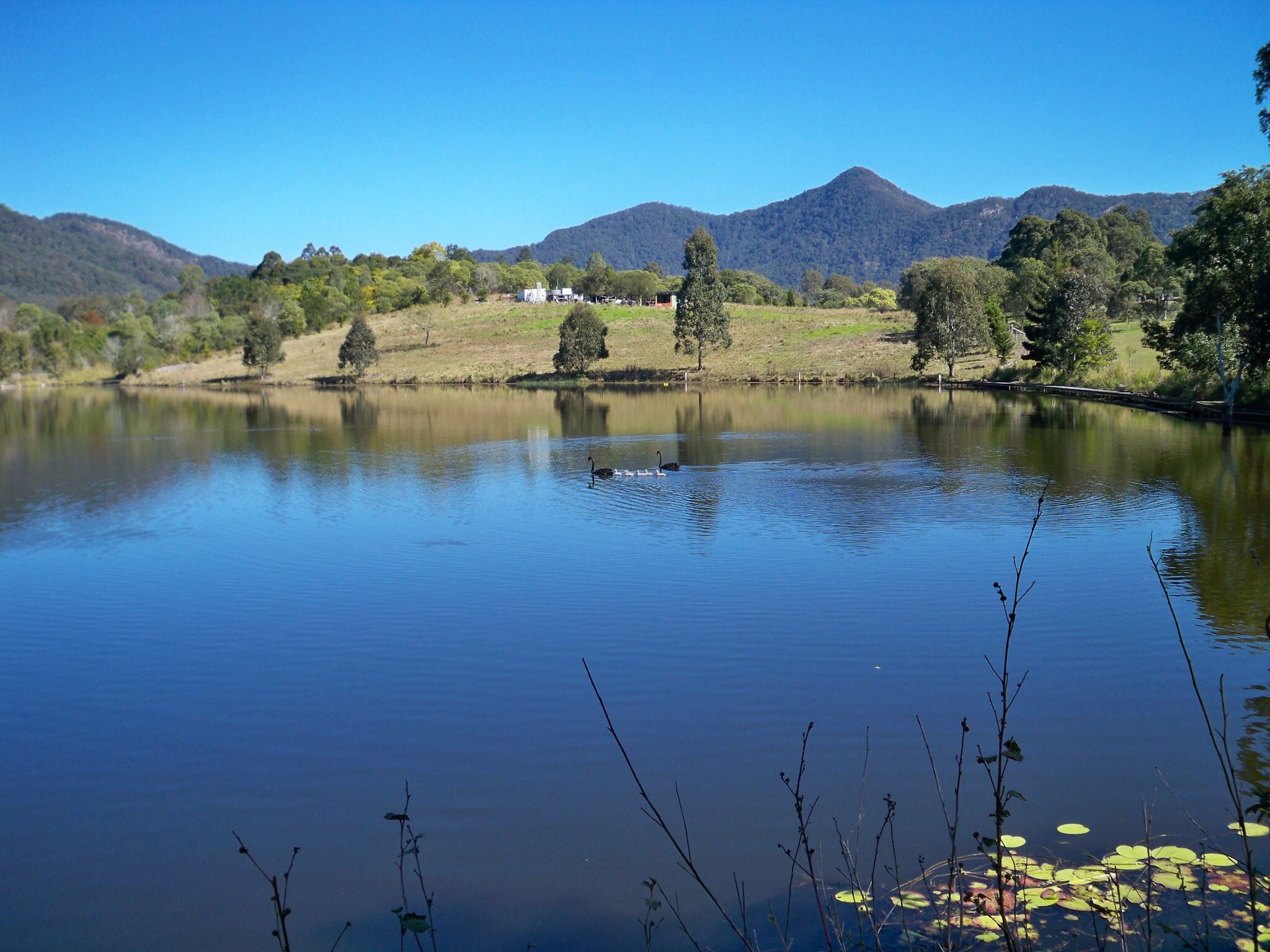 Picture of Samford Lakes Accommodation