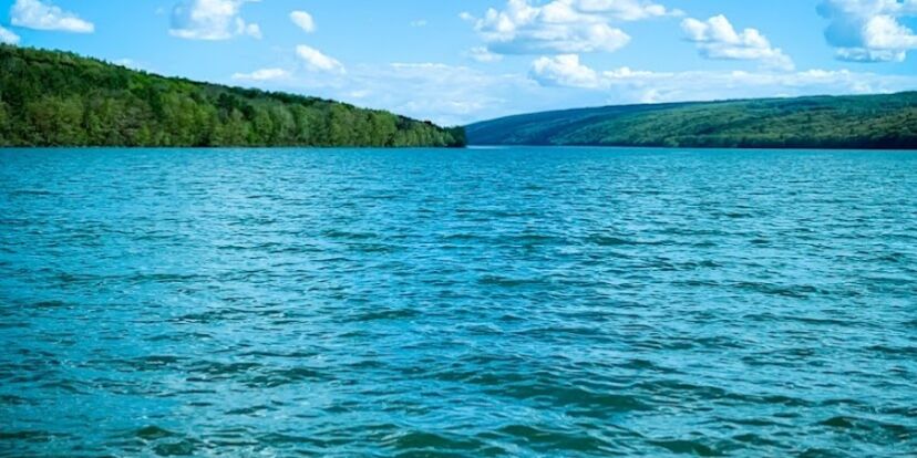 Picture of Hemlock Lake Park