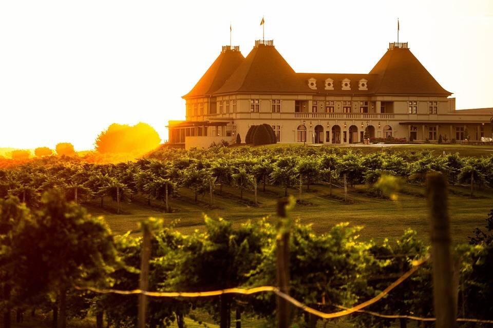 Picture of Chateau Elan Winery & Resort
