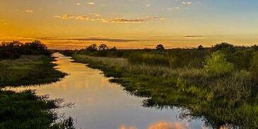 Picture of Lake Kissimmee State Park