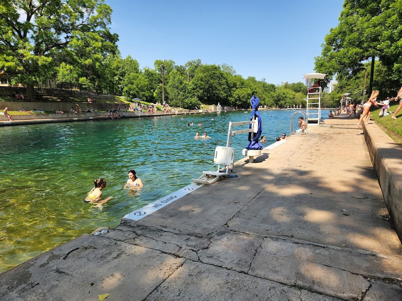 Picture of Barton Springs Municipal Pool